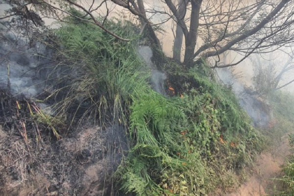 Fakta Baru Terungkap, Ternyata Kebakaran Gunung Bromo Sudah Berlangsung 2 Hari