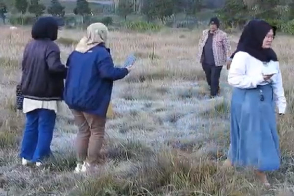 Embun Es Dieng Muncul, Suhu Permukaan Tanah Minus 1 Derajat Celcius