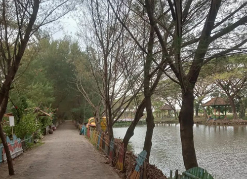 5 Tempat Wisata Alam dengan Pemandangan Indah di Surabaya, Nomor 4 Mirip di Amazon