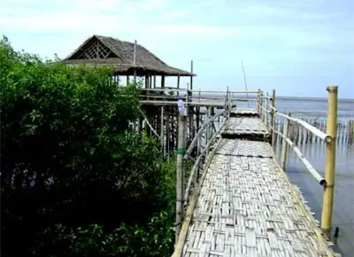 5 Tempat Wisata Alam dengan Pemandangan Indah di Surabaya, Nomor 4 Mirip di Amazon
