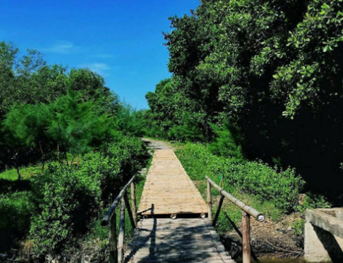 5 Tempat Wisata Alam dengan Pemandangan Indah di Surabaya, Nomor 4 Mirip di Amazon