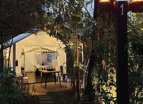 5 Rekomendasi Glamping di Banyuwangi, Ada yang Dekat Kawah Ijen