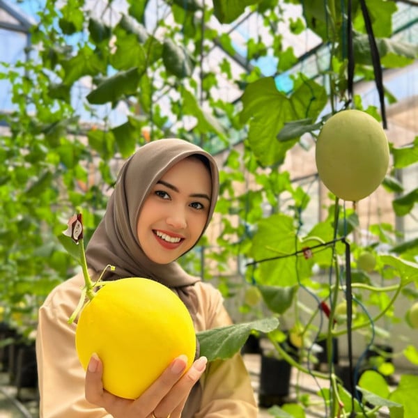 5 Tempat Wisata Petik Buah di Malang, dari Apel hingga Jeruk