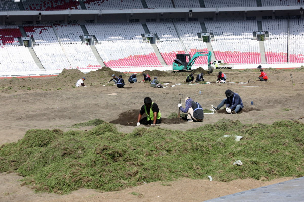 Intip Penampakan Rumput Stadion Utama Gelora Bung Karno, Dipermak Habis
