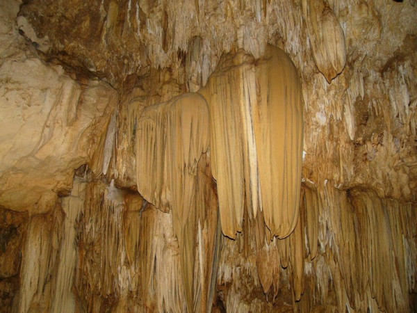 7 Tempat Wisata Unik di Pacitan, Ada yang Mirip Hutan Amazon Brasil