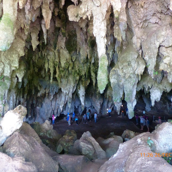 7 Tempat Wisata Unik di Pacitan, Ada yang Mirip Hutan Amazon Brasil