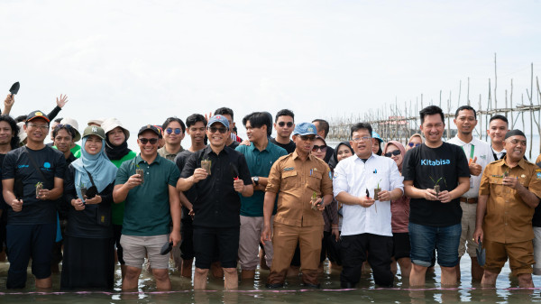 Lamun Teluk Bakau: Harta Karun Hijau di Bawah Laut Bintan