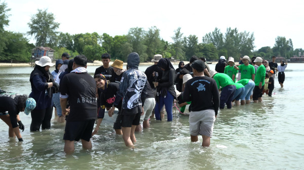 Lamun Teluk Bakau: Harta Karun Hijau di Bawah Laut Bintan