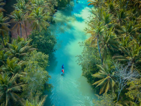 7 Tempat Wisata Unik di Pacitan, Ada yang Mirip Hutan Amazon Brasil