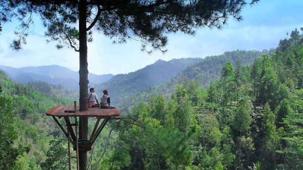 7 Tempat Wisata Unik di Pacitan, Ada yang Mirip Hutan Amazon Brasil