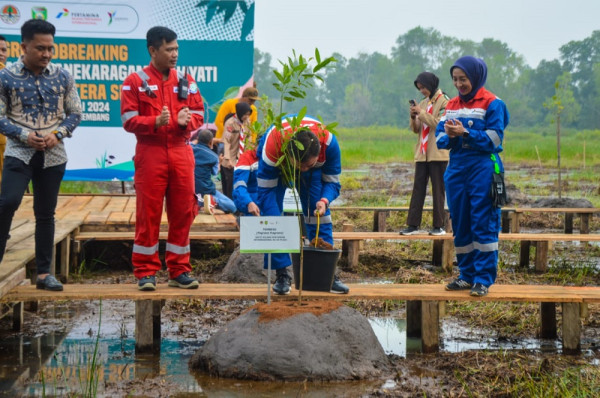 Pemprov Sumsel dan Kilang Pertamina Plaju Sinergi Bangun Taman Rawa, Tanam 55 Spesies Pohon Langka