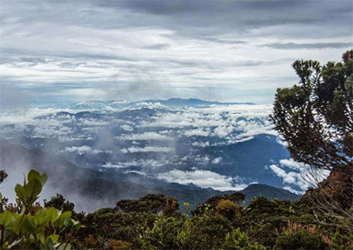 7 Tempat Wisata Dingin di Kalimantan, Nomor 6 Salah Satu Puncak Tertinggi di Indonesia