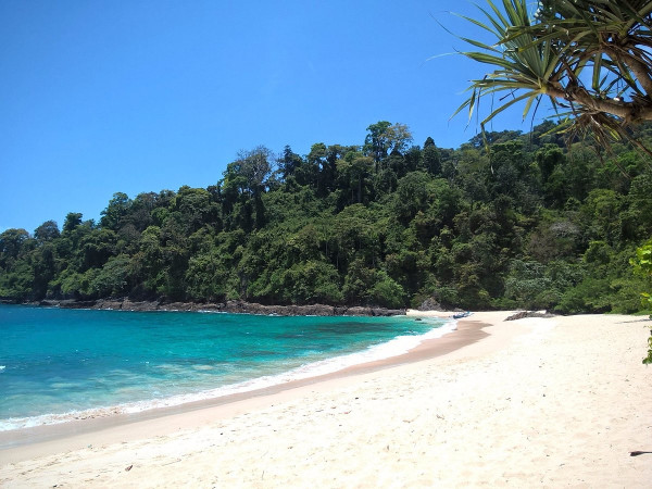 8 Pantai Terindah di Jawa Timur, Ada yang Mirip Tanah Lot Bali