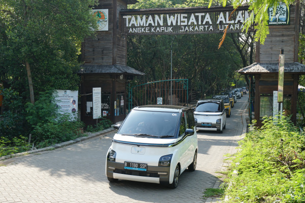Daftar Mobil Murah di Bawah Rp200 Juta: Pilihan Lengkap dari LCGC hingga Mobil Listrik