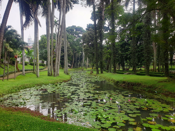 7 Tempat Piknik Nyaman di Jakarta untuk Melepas Penat
