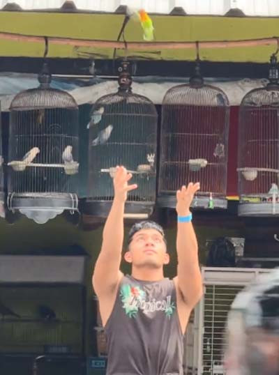 Lepas Love Bird ke Alam, Saaih Halilintar Panen Hujatan Netizen