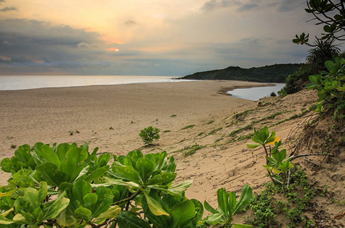7 Rekomendasi Pantai Sukabumi, Salah Satunya Jadi Pusat Konservasi Penyu