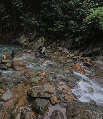 5 Tempat Wisata Bogor yang Sejuk, Cocok Jadi Tujuan Berlibur Keluarga