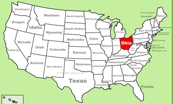 10 Bahasa Gaul Gen Alpha yang Lagi Tren, dari Skibidi hingga Ohio