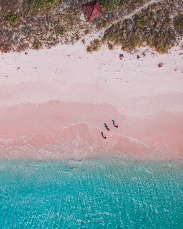 5 Pantai Pink di Indonesia, Surga Tersembunyi yang Wajib Dikunjungi