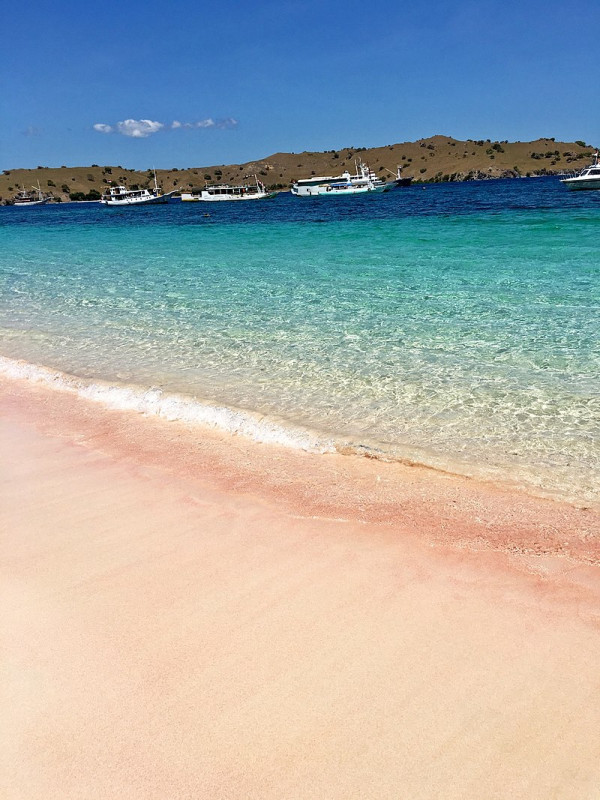 5 Pantai Pink di Indonesia, Surga Tersembunyi yang Wajib Dikunjungi