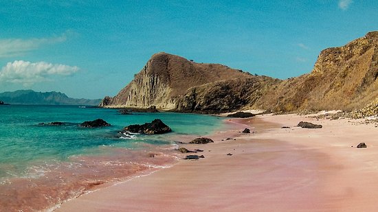 5 Pantai Pink di Indonesia, Surga Tersembunyi yang Wajib Dikunjungi