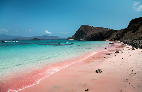 5 Pantai Pink di Indonesia, Surga Tersembunyi yang Wajib Dikunjungi