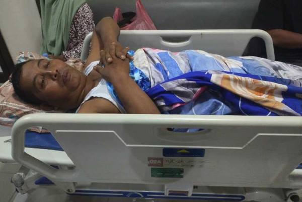 Hendak Halau Gajah Perusak Kebun, 3 Warga Balik Diserang hingga Luka Parah
