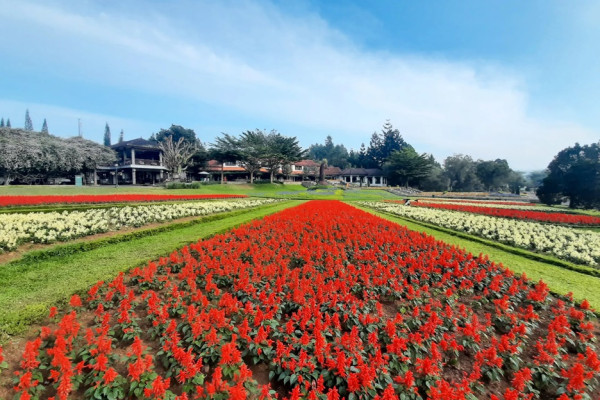 7 Tempat Wisata di Bogor untuk Liburan Singkat Bareng Keluarga
