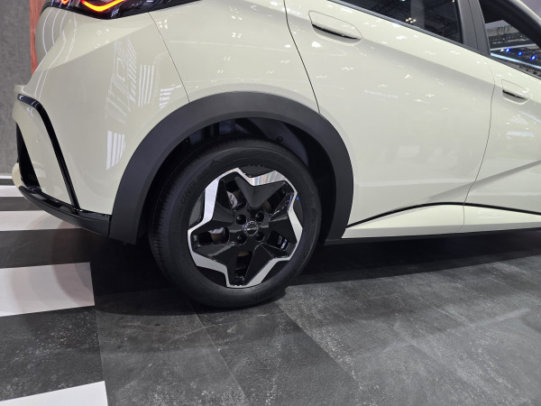 Terpaut Rp60 Juta, Ini Perbedaan BYD Dolphin Dynamic Standar Range vs Premium Range