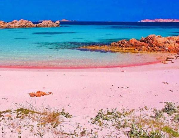 5 Pantai Pink Terindah di Dunia, Indonesia Masuk Daftar