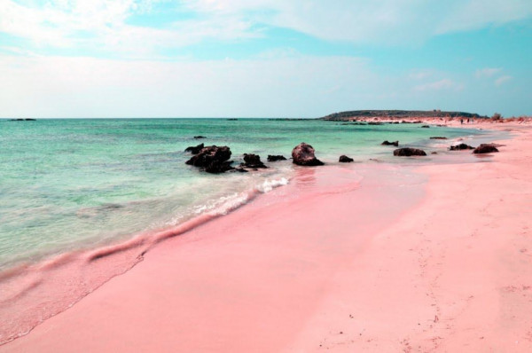 5 Pantai Pink Terindah di Dunia, Indonesia Masuk Daftar