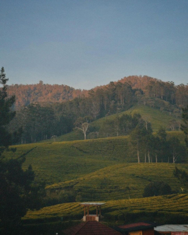 5 Tempat Wisata di Pangalengan Bandung yang Viral, Udaranya Sejuk