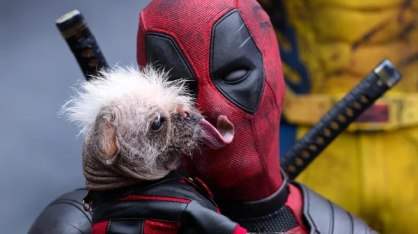 17 Detail dalam Deadpool & Wolverine yang Mungkin Kamu Lewatkan