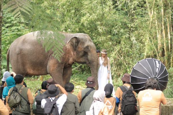 Puncak Roadshow IAPVC 2024, Taman Safari Bogor Tegaskan Komitmen untuk Cintai dan Lindungi Satwa Endemik
