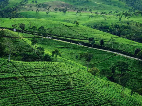7 Rekomendasi Tempat Wisata di Tawangmangu Solo, Surga Kecil Lereng Gunung Lawu