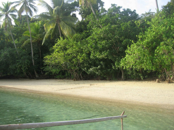 5 Pantai Pasir Putih Terindah di Papua, Surga Tersembunyi Ujung Timur Indonesia