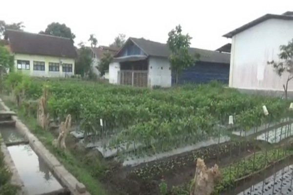 Teknik Pertanian Embung, Siasat Jitu Hadapi Musim Kemarau Panjang