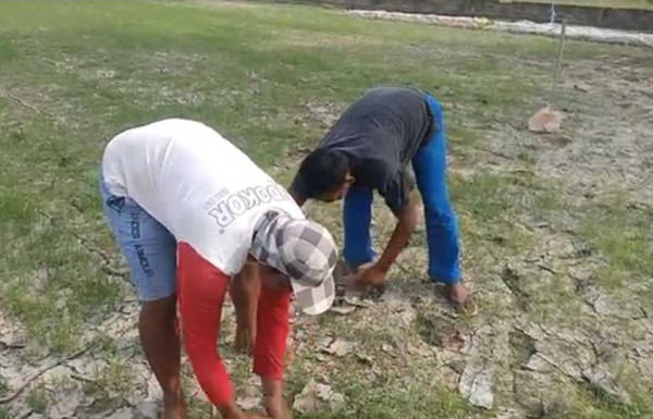 2.706 Ha Sawah di Kabupaten Batubara Kekeringan, Ancam Ketahanan Pangan Sumut