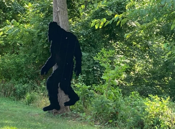 Viral Misteri Dugaan Penampakan Bigfoot dalam Rekaman Video Dokumenter Jadul