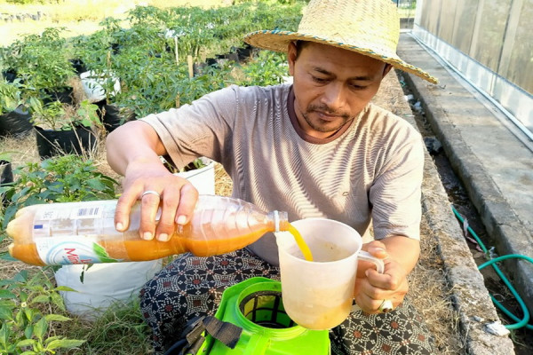 Inovasi Hijau, Solusi Problem Petani Jember
