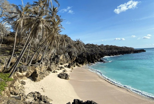 5 Pantai Pasir Putih Terindah di NTT, Nomor 4 Surga bagi Peselancar