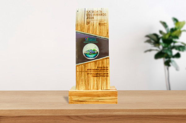 Komitmen Jalankan Aspek Keberlanjutan, PLN Raih ESG Awards Sektor Energi di Ajang SAFE