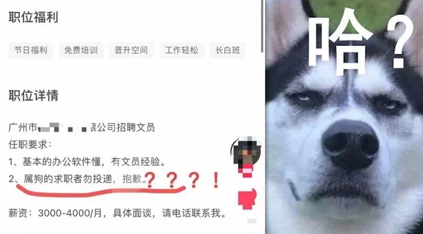 Viral! Perusahaan Tolak Calon Karyawan karena Zodiak, yang Lahir di Tahun Anjing Dilarang Lamar