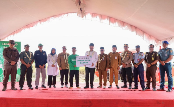 Panen Raya Padi di Kabupaten Barito Kuala, Baznas Dorong Kemandirian Ekonomi Petani di Kalsel