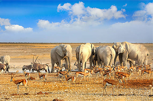 5 Tempat Wisata di Namibia, Negara yang Pernah Jadi Lokasi Honeymoon Pangeran Harry dan Meghan Markle