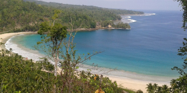 5 Pantai Pasir Putih Terindah di Maluku Utara, Nomor 2 Air Lautnya Sebening Kristal