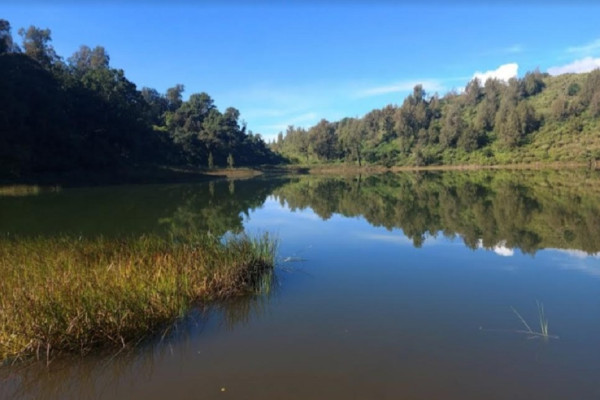 7 Bulan Ditutup Total Wisata Danau Ranu Regulo TNBTS Kembali Dibuka, Ini Penampakannya