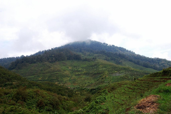 10 Gunung Terindah di Indonesia untuk Mendaki, Nomor 2 Punya Padang Edelweis