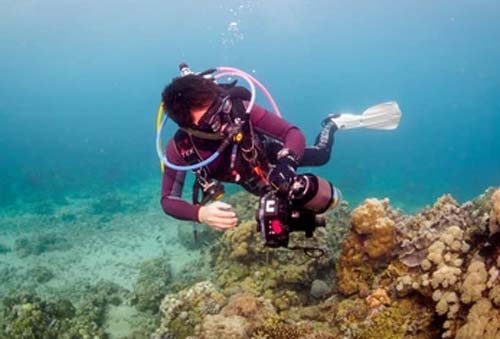 10 Rekomendasi Spot Scuba Diving di Indonesia, Nomor 2 Cocok untuk Uji Adrenalin